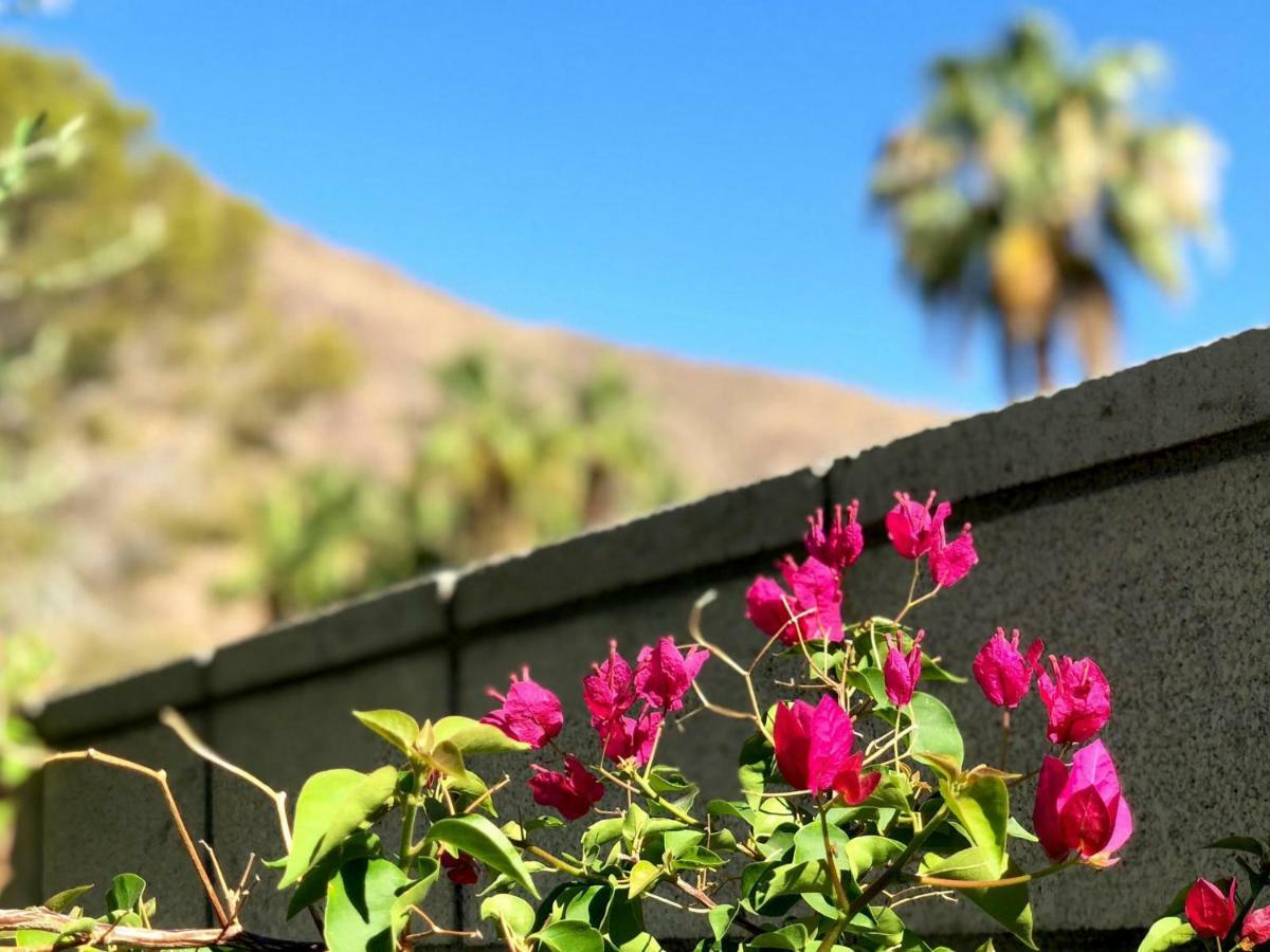 La Joya Moderna Villa Palm Springs Exteriör bild